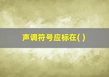 声调符号应标在( )